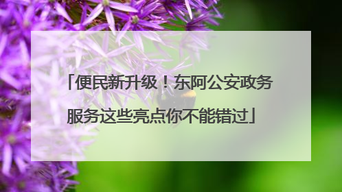 便民新升级！东阿公安政务服务这些亮点你不能错过