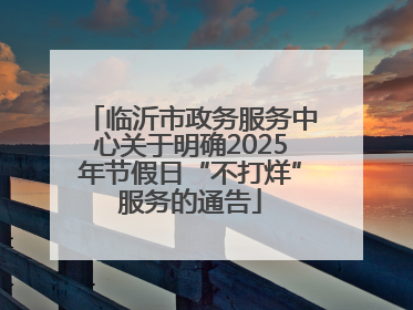 临沂市政务服务中心关于明确2025年节假日“不打烊”服务的通告