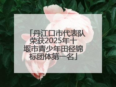 丹江口市代表队荣获2025年十堰市青少年田径锦标团体第一名