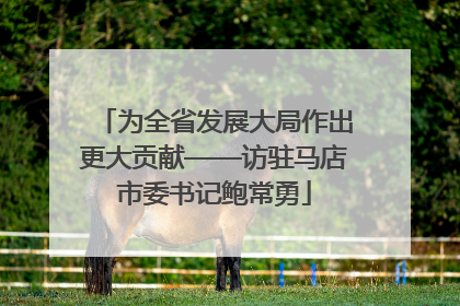 为全省发展大局作出更大贡献——访驻马店市委书记鲍常勇