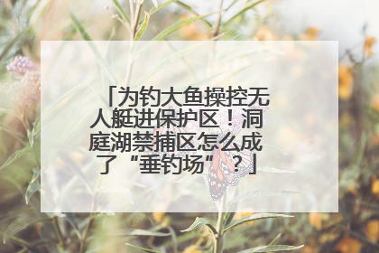 为钓大鱼操控无人艇进保护区！洞庭湖禁捕区怎么成了“垂钓场”？