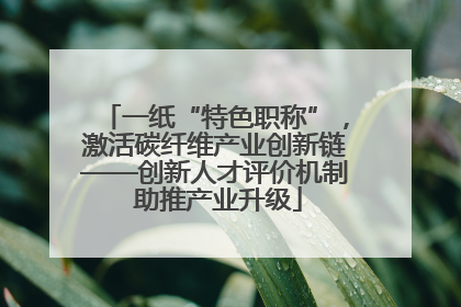 一纸“特色职称”，激活碳纤维产业创新链——创新人才评价机制 助推产业升级