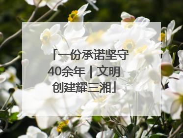 一份承诺坚守40余年｜文明创建耀三湘
