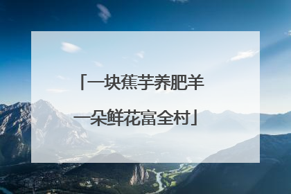 一块蕉芋养肥羊 一朵鲜花富全村
