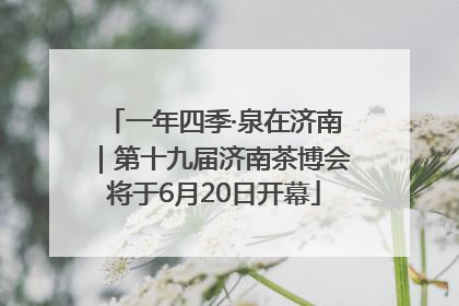 一年四季·泉在济南｜第十九届济南茶博会将于6月20日开幕