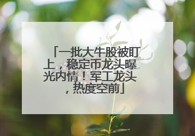 一批大牛股被盯上，稳定币龙头曝光内情！军工龙头，热度空前