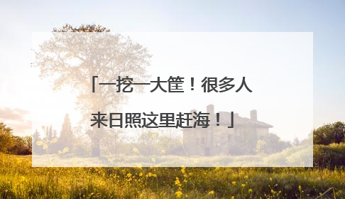 一挖一大筐！很多人来日照这里赶海！