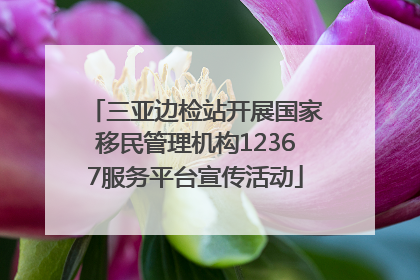 三亚边检站开展国家移民管理机构12367服务平台宣传活动