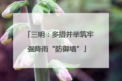 三明：多措并举筑牢强降雨“防御墙”