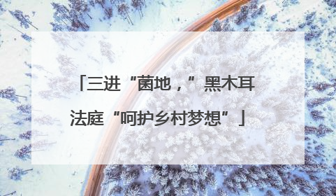 三进“菌地，”黑木耳法庭“呵护乡村梦想”