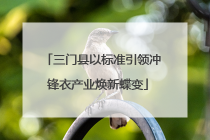 三门县以标准引领冲锋衣产业焕新蝶变