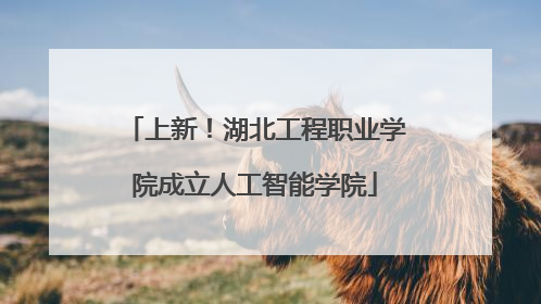 上新！湖北工程职业学院成立人工智能学院