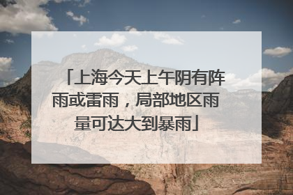 上海今天上午阴有阵雨或雷雨，局部地区雨量可达大到暴雨