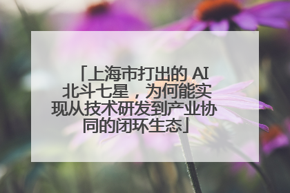 上海市打出的 AI 北斗七星，为何能实现从技术研发到产业协同的闭环生态