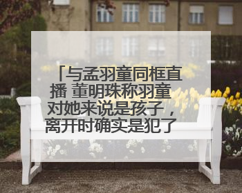 与孟羽童同框直播 董明珠称羽童对她来说是孩子，离开时确实是犯了很大的错