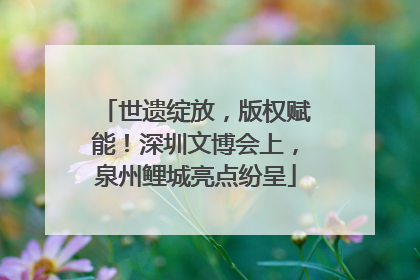 世遗绽放，版权赋能！深圳文博会上，泉州鲤城亮点纷呈