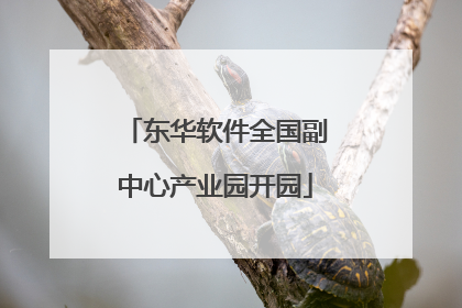 东华软件全国副中心产业园开园