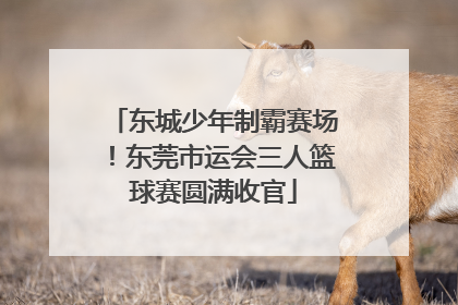 东城少年制霸赛场！东莞市运会三人篮球赛圆满收官