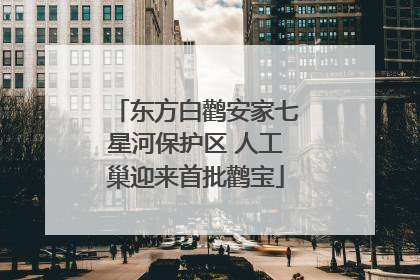 东方白鹳安家七星河保护区 人工巢迎来首批鹳宝