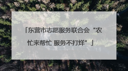 东营市志愿服务联合会“农忙来帮忙 服务不打烊”