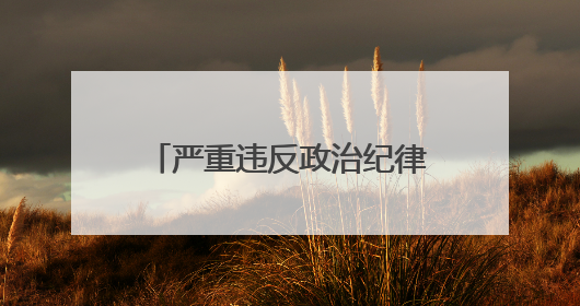 严重违反政治纪律、组织纪律、廉洁纪律、工作纪律和生活纪律的罗璇，非法收受他人巨额财物