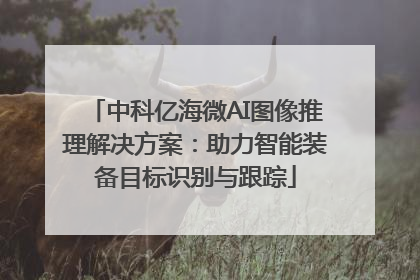 中科亿海微AI图像推理解决方案：助力智能装备目标识别与跟踪