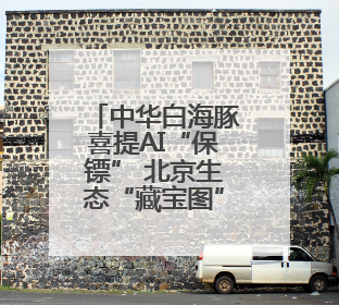 中华白海豚喜提AI“保镖” 北京生态“藏宝图”物种上新