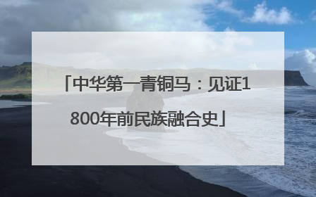 中华第一青铜马：见证1800年前民族融合史