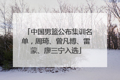 中国男篮公布集训名单，周琦、曾凡博、雷蒙、廖三宁入选