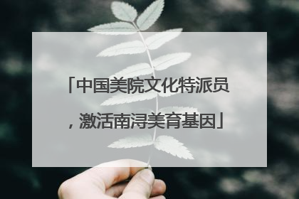 中国美院文化特派员，激活南浔美育基因