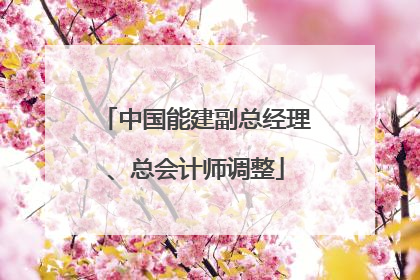 中国能建副总经理、总会计师调整