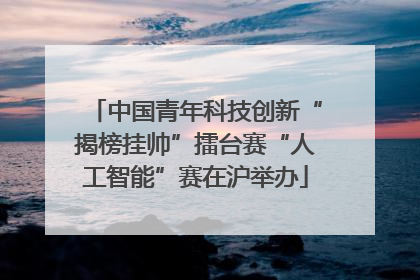 中国青年科技创新“揭榜挂帅”擂台赛“人工智能”赛在沪举办