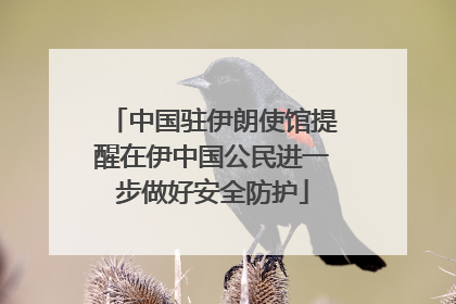 中国驻伊朗使馆提醒在伊中国公民进一步做好安全防护