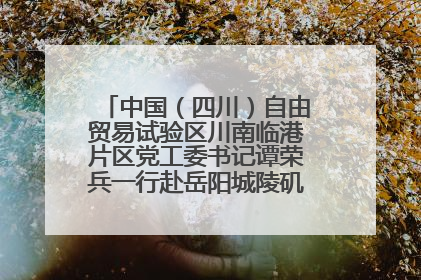 中国（四川）自由贸易试验区川南临港片区党工委书记谭荣兵一行赴岳阳城陵矶综保区考察