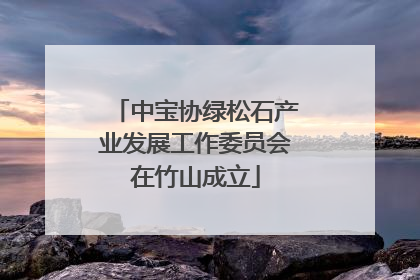中宝协绿松石产业发展工作委员会在竹山成立