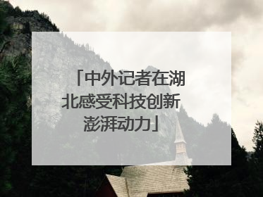 中外记者在湖北感受科技创新澎湃动力