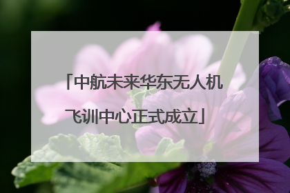 中航未来华东无人机飞训中心正式成立