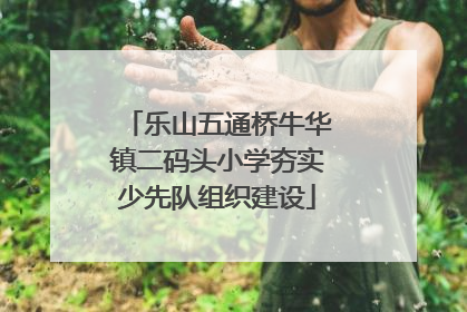 乐山五通桥牛华镇二码头小学夯实少先队组织建设