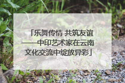 乐舞传情 共筑友谊——中印艺术家在云南文化交流中绽放异彩