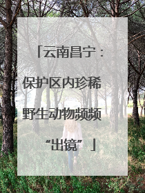 云南昌宁：保护区内珍稀野生动物频频“出镜”