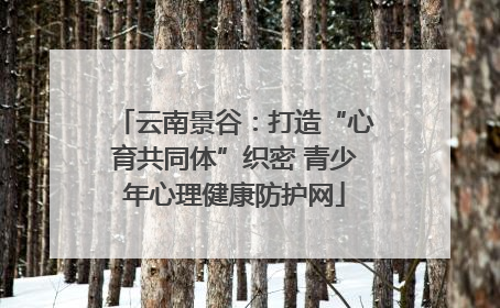 云南景谷：打造“心育共同体”织密 青少年心理健康防护网