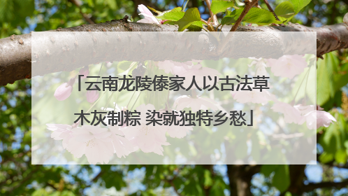 云南龙陵傣家人以古法草木灰制粽 染就独特乡愁