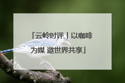 云岭时评丨以咖啡为媒 邀世界共享