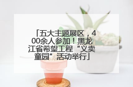 五大主题展区，400余人参加！黑龙江省希望工程“义卖童园”活动举行