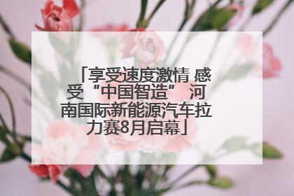 享受速度激情 感受“中国智造” 河南国际新能源汽车拉力赛8月启幕