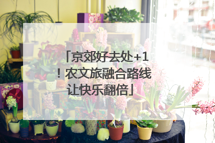 京郊好去处+1！农文旅融合路线让快乐翻倍