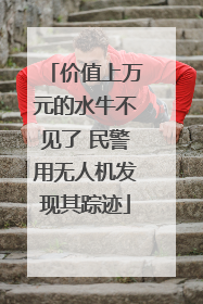价值上万元的水牛不见了 民警用无人机发现其踪迹