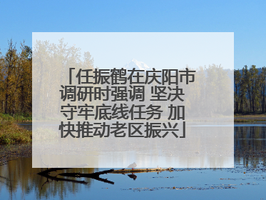 任振鹤在庆阳市调研时强调 坚决守牢底线任务 加快推动老区振兴