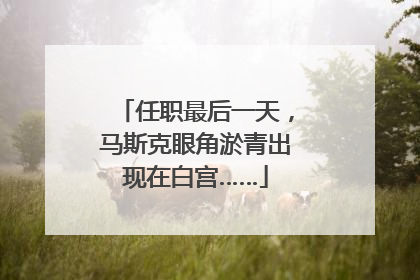 任职最后一天，马斯克眼角淤青出现在白宫……