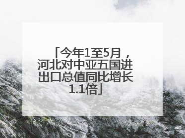 今年1至5月，河北对中亚五国进出口总值同比增长1.1倍